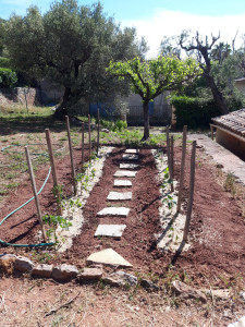 Photo de galerie - Création et entretien d un potager