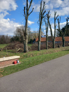 Photo de galerie - Après