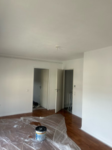 Photo de galerie - Peinture apres 