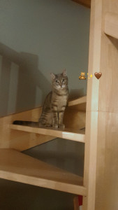 Photo de galerie - Visite à domicile  ;)