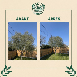 Photo de galerie - Elagage et coupe d'arbres