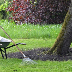 Photo de galerie - Petit entretien en tout genre 