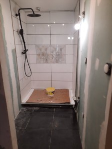 Photo de galerie - Rénovation complete douche 