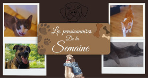 Photo de galerie - Plusieurs client 