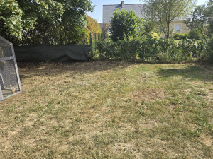 Photo de galerie - Tonte d'un jardin de 50m2