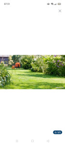 Photo de galerie - Paysagiste de formation. entretien de haies, massif, plantation.