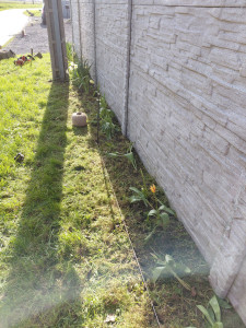 Photo de galerie - Paysagiste - Aménagement du jardin