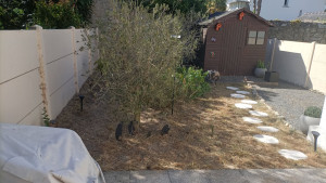 Photo de galerie - Réalisation d'un entretien avec tonte , désherbage ??