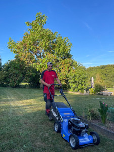 Photo de galerie - Tonte de pelouse