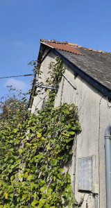 Photo de galerie - Réparation toiture changement de lattes 