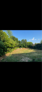 Photo de galerie - Paysagiste - Aménagement du jardin