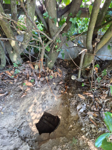 Photo de galerie - Recherche de regard client en parti privé po
ur le tirage de la fibre