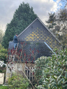 Photo de galerie - Nettoyage toiture 