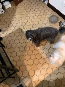 Photo de galerie - Noé