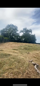 Photo de galerie - Débroussaillage d’un terrain