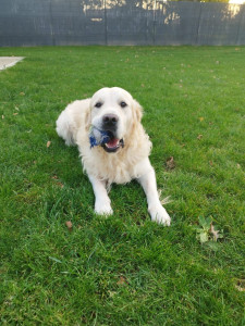 Photo de galerie - Pitch mon préféré ❤️? 