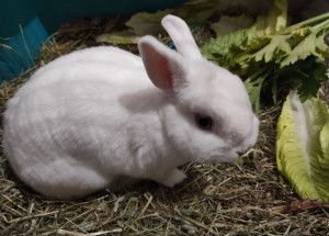 Photo de galerie - Jolie petite Europe !! 