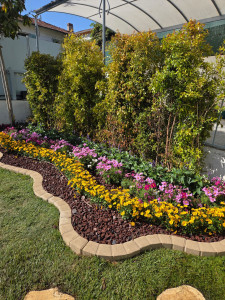 Photo de galerie - Déplacement de la haie et création d'un un massif fleuri avec pose de bordure pouzzolane et création d'un goutte à goutte