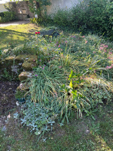 Photo de galerie - Desherbage