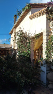 Photo de galerie - Taille de bougainvillier