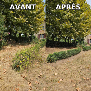 Photo de galerie - Avant / Après d'un entretien d'espace vert d'un château