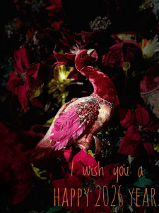 Photo de galerie - Photographie d'art, retouche, création d'affiches