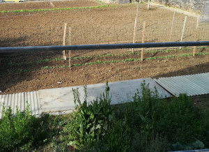 Photo de galerie - Jardinier