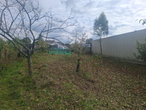 Photo de galerie - Zone nettoyée 