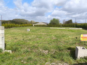 Photo de galerie - Tonte de pelouse - Débroussaillage