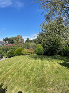 Photo de galerie - Tonte de pelouse 