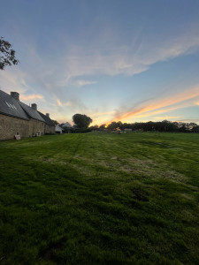 Photo de galerie - Tonte régulière 