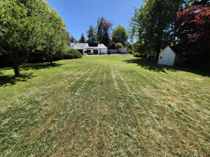 Photo de galerie - Tonte terrain de 1500m²