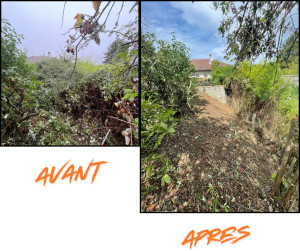 Photo de galerie - Débroussaillage ronces 