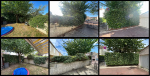 Photo de galerie - Tailles haies et d'arbustes