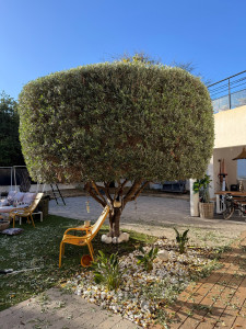 Photo de galerie - Olivier