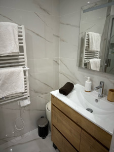 Photo de galerie - Nettoyage complet de la salle de bain