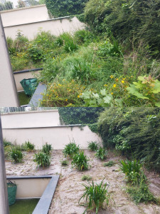 Photo de galerie - Désherbage, entretien du jardin 
avant/après