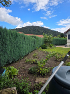 Photo de galerie - Petite taille haie Avec évacuation.