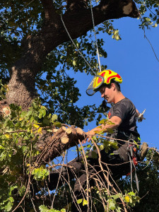 Photo de galerie - .