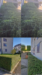 Photo de galerie - Tout opération d'espace vert 