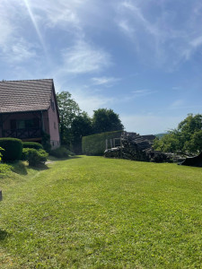 Photo de galerie - Tonte de pelouse - Débroussaillage