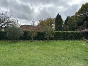 Photo de galerie - Tonte de pelouse 