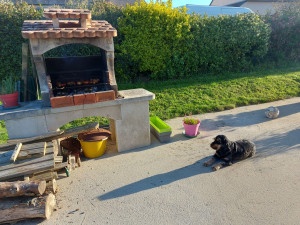 Photo de galerie - Farniente au soleil, tout en surveillant le barbecue...