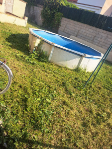 Photo de galerie - Tonte de pelouse - Débroussaillage