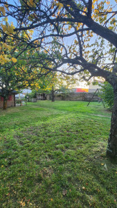 Photo de galerie - Tonte (après)