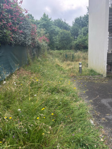 Photo de galerie - Remise en état d’un talus