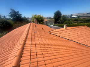 Photo de galerie - Toiture après nettoyage et mise en peinture