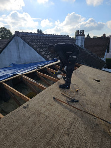 Photo de galerie - Shingles