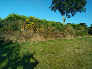 Photo de galerie - Chantier de débroussaillage avant 