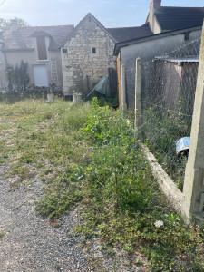 Photo de galerie - Tonte de pelouse - Débroussaillage